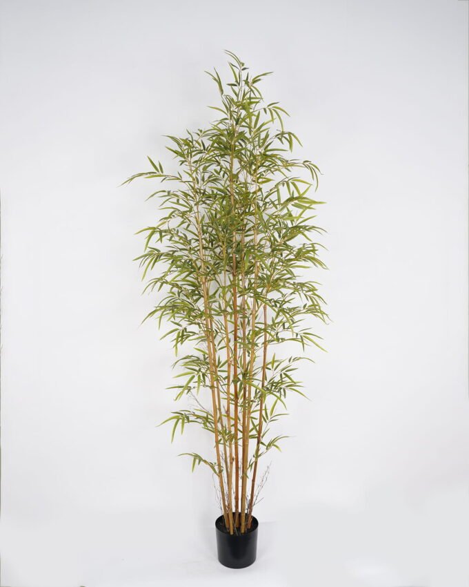 Artificial Tree 85*85*222cm Bamboo tree *7 in PP pot GS-69423048CONTI Tree&Plant YeahFlower is one of Chinese leading OEM manufacturers and exporters , supplying the silk flowers, wholesale artificial trees
