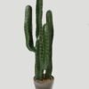 Artificial Tree Cactus 4 Pot GS-51418001-G1_6 Artificial Tree 20*16*70cm Cactus*4 Pot GS-51418001-G1 Tree&Plant YeahFlower is one of Chinese leading OEM manufacturers and exporters , supplying the silk flowers, wholesale artificial trees