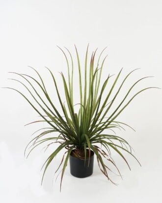 Artificial Tree 58*58*75cm Dacaena in PP pot/23 lvs GS-61123005 Tree&Plant 3,000+ sqm showroom with thousands of artificial flowers, plants & trees ready for global sourcing.