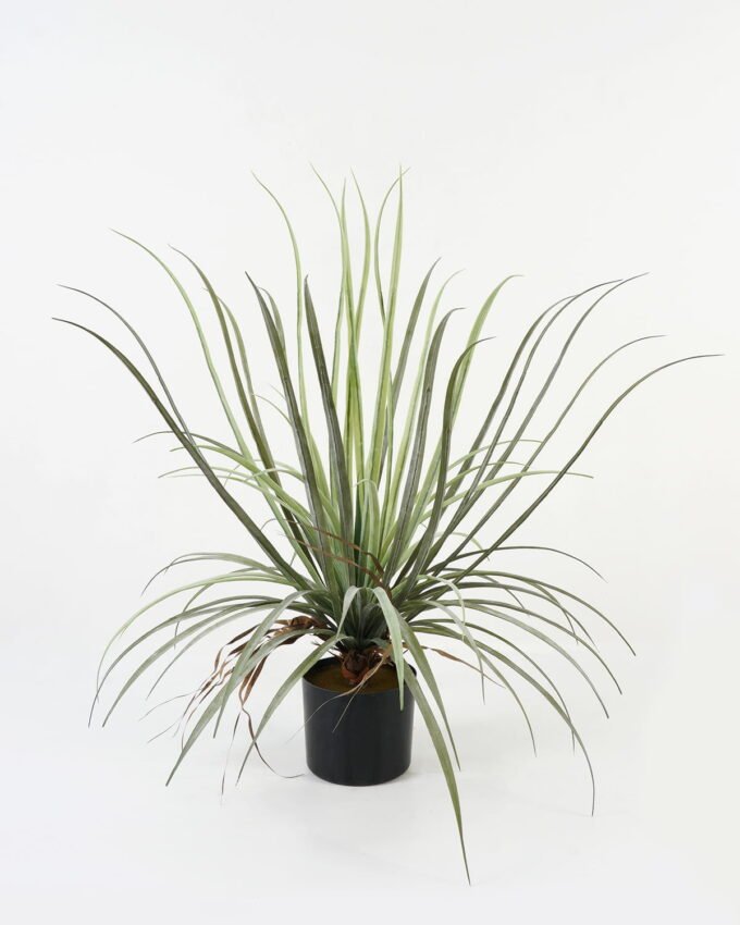 Artificial Tree Dacaena in PP pot 23 lvs GS-61123005_3 Artificial Tree 58*58*75cm Dacaena in PP pot/23 lvs GS-61123005 Tree&Plant YeahFlower is one of Chinese leading OEM manufacturers and exporters , supplying the silk flowers, wholesale artificial trees