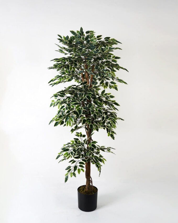 Artificial Tree GS-30623013CONTI_3 Artificial Tree 56*56*150cm GS-30623013CONTI Tree&Plant YeahFlower is one of Chinese leading OEM manufacturers and exporters , supplying the silk flowers, wholesale artificial trees