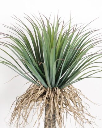 Artificial Tree  GS-61123012CONTI Tree&Plant 3,000+ sqm showroom with thousands of artificial flowers, plants & trees ready for global sourcing.