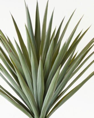 Artificial Tree  GS-61123014CONTI Tree&Plant 3,000+ sqm showroom with thousands of artificial flowers, plants & trees ready for global sourcing.