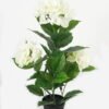 Artificial Tree Hydrangea 4 in PP pot 42 lvs GS-30423067_3 Artificial Tree 30*60cm Hydrangea *4 in PP pot/42 lvs GS-30423067 Tree&Plant YeahFlower is one of Chinese leading OEM manufacturers and exporters , supplying the silk flowers, wholesale artificial trees