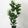 Artificial Tree 40*40*100cm Hydrangea *4 in PP pot/88 lvs GS-30423050 Tree&Plant YeahFlower is one of Chinese leading OEM manufacturers and exporters , supplying the silk flowers, wholesale artificial trees