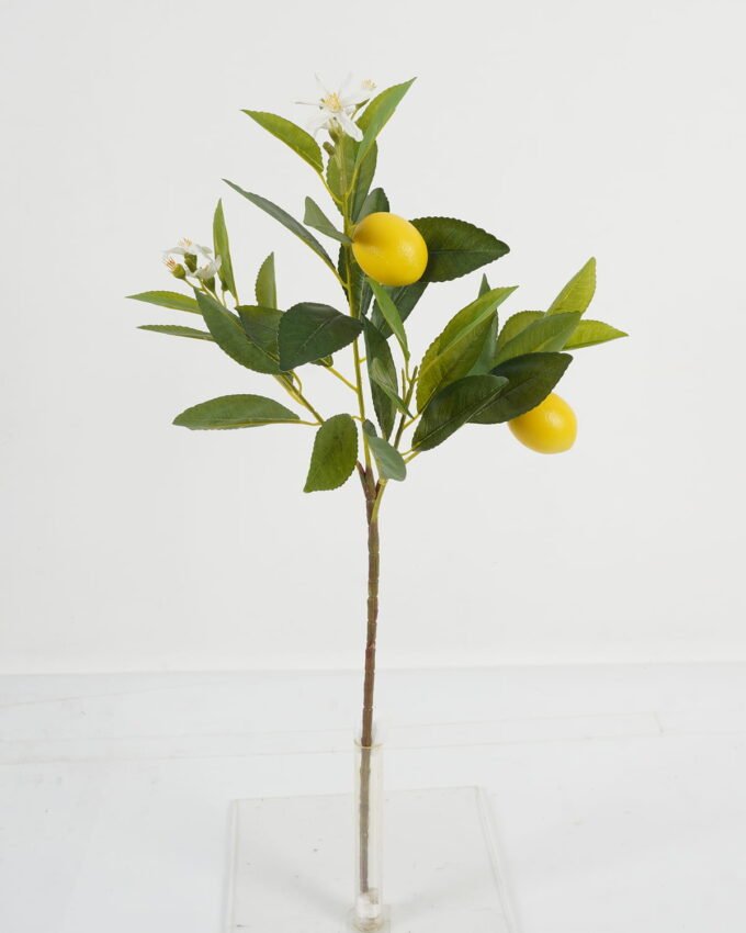 Artificial Tree 19*19*56cm Lemon *4 single stem GS-69423057CONTI Tree&Plant YeahFlower is one of Chinese leading OEM manufacturers and exporters , supplying the silk flowers, wholesale artificial trees