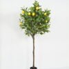 Artificial Tree 55*55*150cm Lemon Tree in PP pot GS-69423059CONTI-KD Tree&Plant YeahFlower is one of Chinese leading OEM manufacturers and exporters , supplying the silk flowers, wholesale artificial trees