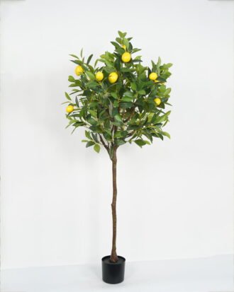 Artificial Tree 55*55*150cm Lemon Tree in PP pot GS-69423059CONTI-KD Tree&Plant 3,000+ sqm showroom with thousands of artificial flowers, plants & trees ready for global sourcing.