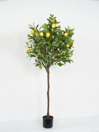 Artificial Tree 52*52*109cm Orange Tree in PP pot GS-69423058CONTI Tree&Plant 3,000+ sqm showroom with thousands of artificial flowers, plants & trees ready for global sourcing.