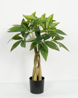 Artificial Tree 40*40*60cm Pachira macrocarpa *4 in PP pot GS-69423008CONTI Tree&Plant YeahFlower is one of Chinese leading OEM manufacturers and exporters , supplying the silk flowers, wholesale artificial trees