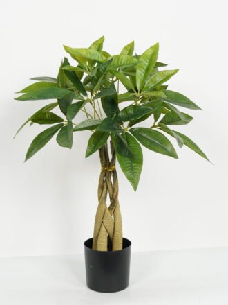 Artificial Tree 46*46*90cm Pachira macrocarpa *4 in PP pot GS-69423009CONTI Tree&Plant 3,000+ sqm showroom with thousands of artificial flowers, plants & trees ready for global sourcing.