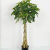 Artificial Tree Pachira macrocarpa 4 in PP pot GS-69423010CONTI_7 Artificial Tree 60*60*120cm Pachira macrocarpa *4 in PP pot GS-69423010CONTI Tree&Plant YeahFlower is one of Chinese leading OEM manufacturers and exporters , supplying the silk flowers, wholesale artificial trees