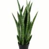 Artificial Tree 38*38*87cm Sansevieria *12 in PP pot/32 lvs GS-59523090CONTI Tree&Plant YeahFlower is one of Chinese leading OEM manufacturers and exporters , supplying the silk flowers, wholesale artificial trees