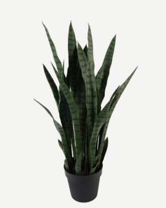 Artificial Tree 50*50*85cm Sansevieria *12 in PP pot GS-59523054CONTI Tree&Plant 3,000+ sqm showroom with thousands of artificial flowers, plants & trees ready for global sourcing.