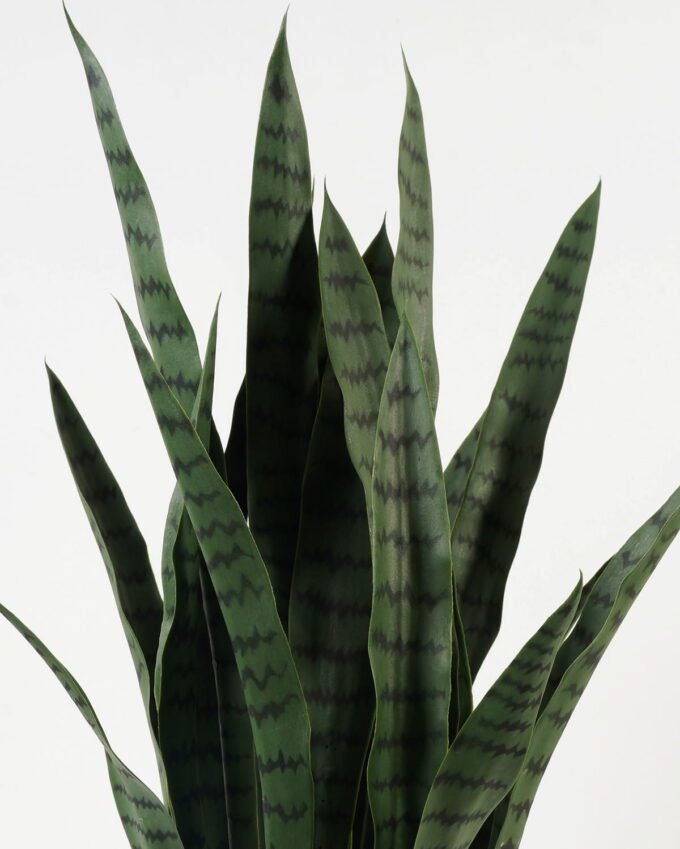 Artificial Tree Sansevieria 12 in PP pot GS-59523054CONTI_5 Artificial Tree 50*50*85cm Sansevieria *12 in PP pot GS-59523054CONTI Tree&Plant YeahFlower is one of Chinese leading OEM manufacturers and exporters , supplying the silk flowers, wholesale artificial trees