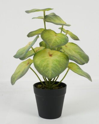 Artificial Tree 25*25*30cm Taro /Ivs15 GS-70123033 Tree&Plant 3,000+ sqm showroom with thousands of artificial flowers, plants & trees ready for global sourcing.