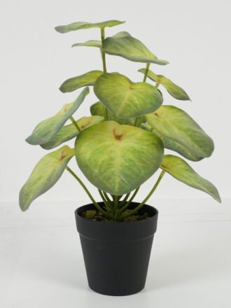 Artificial Tree 50cm Plant in PP pot/55 lvs GS-59523068 Tree&Plant YeahFlower is one of Chinese leading OEM manufacturers and exporters , supplying the silk flowers, wholesale artificial trees