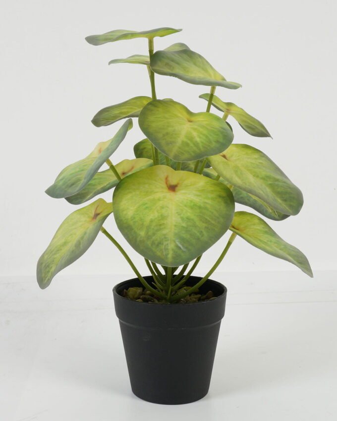 Artificial Tree Taro Ivs15 GS-70123033_6 Artificial Tree 25*25*30cm Taro /Ivs15 GS-70123033 Tree&Plant YeahFlower is one of Chinese leading OEM manufacturers and exporters , supplying the silk flowers, wholesale artificial trees