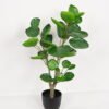 Artificial Tree 32*32*70cm Tree in PP pot GS-69423060CONTI Tree&Plant YeahFlower is one of Chinese leading OEM manufacturers and exporters , supplying the silk flowers, wholesale artificial trees