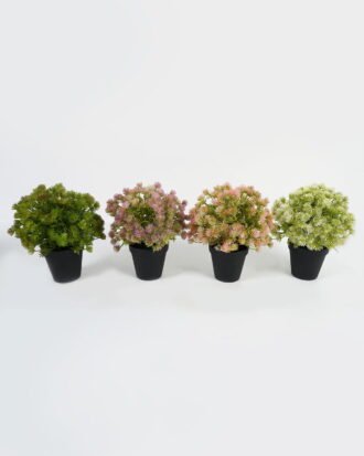 Artificial succulent 22*22*23cm Plant in PP pot GS-70423011CONTI Succulent YeahFlower is one of Chinese leading OEM manufacturers and exporters , supplying the silk flowers, wholesale artificial trees