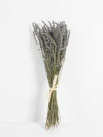 Dried Flowers 60cm Dried natura plant GS-56623088 Bouquet 3,000+ sqm showroom with thousands of artificial flowers, plants & trees ready for global sourcing.