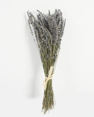 Dried Flowers 50cm Dried natura plant GS-56623086 Bouquet YeahFlower is one of Chinese leading OEM manufacturers and exporters , supplying the silk flowers, wholesale artificial trees