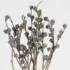 Dried Flowers 60cm Dried natura plant GS-56623088 Bouquet YeahFlower is one of Chinese leading OEM manufacturers and exporters , supplying the silk flowers, wholesale artificial trees
