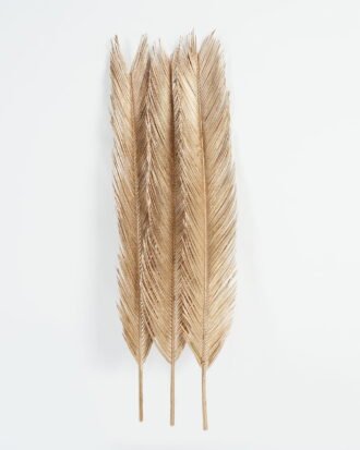 Dried Flowers 80cm Dried natura plant GS-56623085-J1 Dried Flowers YeahFlower is one of Chinese leading OEM manufacturers and exporters , supplying the silk flowers, wholesale artificial trees Dried Flowers 80cm Dried natura plant GS-56623085-J1 Dried Flowers YeahFlower is one of Chinese leading OEM manufacturers and exporters , supplying the silk flowers, wholesale artificial trees