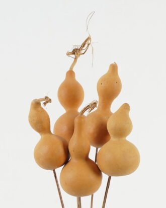 Dried Flowers Pumpkin,5pc/bag(REMARK :  standard : pcs not weight) GS-56619053-Y1 Bouquet YeahFlower is one of Chinese leading OEM manufacturers and exporters , supplying the silk flowers, wholesale artificial trees