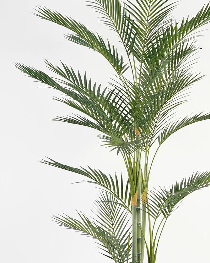 GS-59523074_2 Artificial Tree 160m Kwai tree in PP pot/32 lvs GS-59523074 Tree&Plant YeahFlower is one of Chinese leading OEM manufacturers and exporters , supplying the silk flowers, wholesale artificial trees