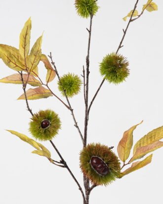 Artificial Branch fruit 42*30*92cm Chinese chestnut single stem/5 fruit GS-63623004-G1 Leaves&Sprays&Foliages YeahFlower is one of Chinese leading OEM manufacturers and exporters , supplying the silk flowers, wholesale artificial trees Artificial Branch fruit 42*30*92cm Chinese chestnut single stem/5 fruit GS-63623004-G1 Leaves&Sprays&Foliages YeahFlower is one of Chinese leading OEM manufacturers and exporters , supplying the silk flowers, wholesale artificial trees