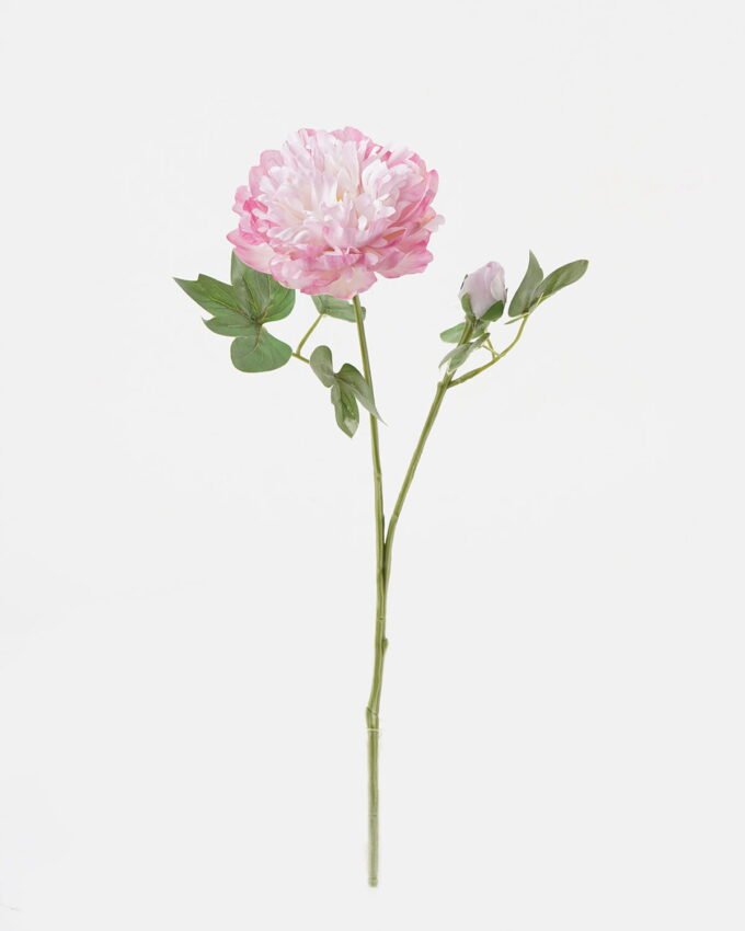 Artificial Flower 54cm Peony 2 single stem GVC-23-3023_3 Artificial Flower 54cm Peony *2 single stem GVC-23-3023 Single Flowers YeahFlower is one of Chinese leading OEM manufacturers and exporters , supplying the silk flowers, wholesale artificial trees