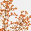 Artificial Flower 16*16*72cm Babysbreath *3 single stem GS-05523019-O1 Single Flowers YeahFlower is one of Chinese leading OEM manufacturers and exporters , supplying the silk flowers, wholesale artificial trees