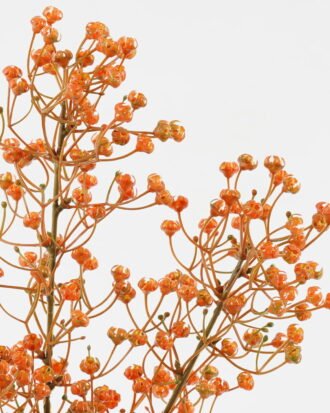 Artificial Flower 16*16*72cm Babysbreath *3 single stem GS-05523019-O1 Single Flowers YeahFlower is one of Chinese leading OEM manufacturers and exporters , supplying the silk flowers, wholesale artificial trees