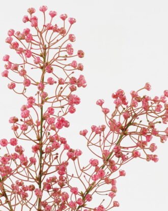 Artificial Flower 16*16*72cm Babysbreath *3 single stem GS-05523019-R1 Single Flowers YeahFlower is one of Chinese leading OEM manufacturers and exporters , supplying the silk flowers, wholesale artificial trees