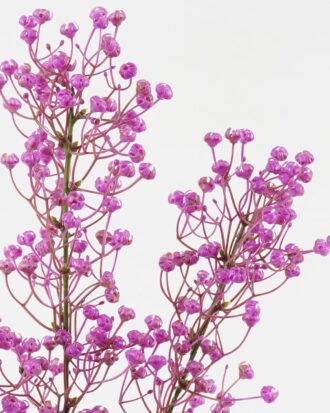 Artificial Flower 16*16*72cm Babysbreath *3 single stem GS-05523019-Z2 Single Flowers YeahFlower is one of Chinese leading OEM manufacturers and exporters , supplying the silk flowers, wholesale artificial trees