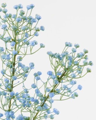 Artificial Flower 16*16*72cm Babysbreath *3 single stem GS-05523019 Single Flowers YeahFlower is one of Chinese leading OEM manufacturers and exporters , supplying the silk flowers, wholesale artificial trees