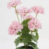 Artificial Flower Begonia 7 in plastic pot GS-04820039-P1_2 Artificial Flower 28*23*44CM Begonia*7 in plastic pot GS-04820039-P1 Potted Flowers&Plants YeahFlower is one of Chinese leading OEM manufacturers and exporters , supplying the silk flowers, wholesale artificial trees
