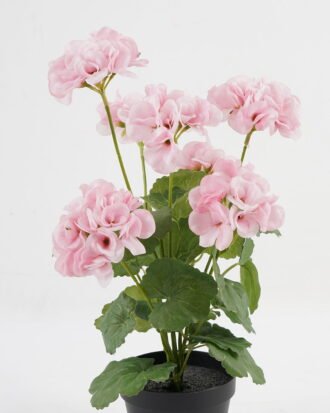Artificial Flower 28*23*44CM Begonia*7 in plastic pot GS-04820039-P1 Potted Flowers&Plants YeahFlower is one of Chinese leading OEM manufacturers and exporters , supplying the silk flowers, wholesale artificial trees Artificial Flower 28*23*44CM Begonia*7 in plastic pot GS-04820039-P1 Potted Flowers&Plants YeahFlower is one of Chinese leading OEM manufacturers and exporters , supplying the silk flowers, wholesale artificial trees