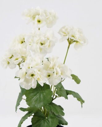 Artificial Flower 28*23*44CM Begonia*7 in plastic pot GS-04820039-W1 Potted Flowers&Plants YeahFlower is one of Chinese leading OEM manufacturers and exporters , supplying the silk flowers, wholesale artificial trees Artificial Flower 28*23*44CM Begonia*7 in plastic pot GS-04820039-W1 Potted Flowers&Plants YeahFlower is one of Chinese leading OEM manufacturers and exporters , supplying the silk flowers, wholesale artificial trees