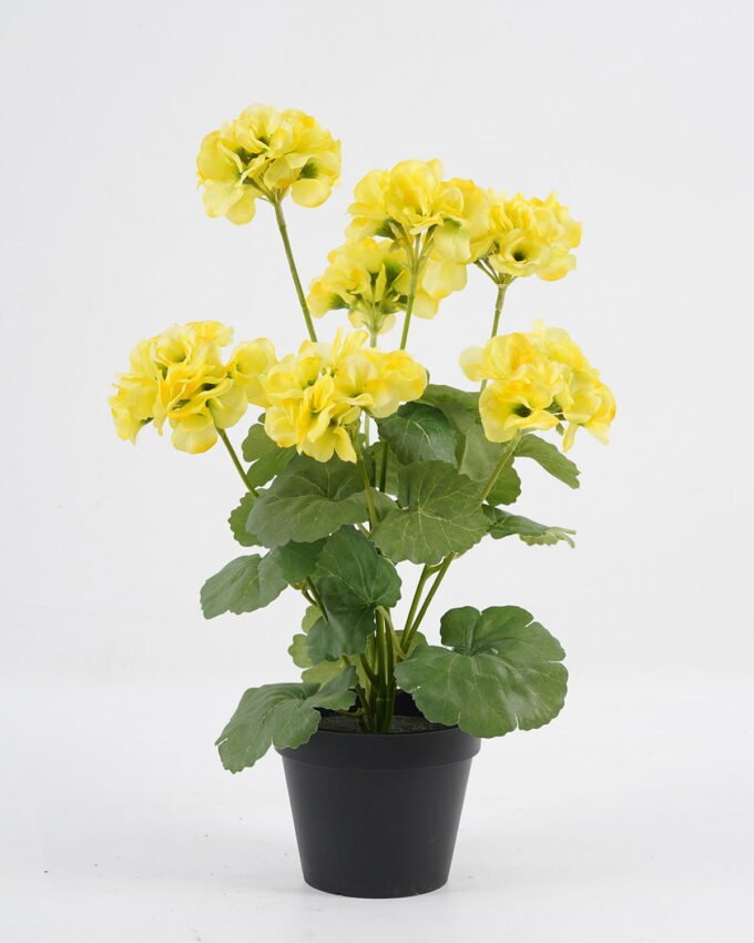 Artificial Flower 28*23*44CM Begonia*7 in plastic pot GS-04820039-Y1 Potted Flowers&Plants YeahFlower is one of Chinese leading OEM manufacturers and exporters , supplying the silk flowers, wholesale artificial trees