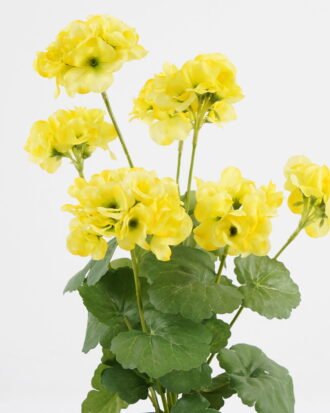 Artificial Flower 28*23*44CM Begonia*7 in plastic pot GS-04820039-Y1 Potted Flowers&Plants YeahFlower is one of Chinese leading OEM manufacturers and exporters , supplying the silk flowers, wholesale artificial trees Artificial Flower 28*23*44CM Begonia*7 in plastic pot GS-04820039-Y1 Potted Flowers&Plants YeahFlower is one of Chinese leading OEM manufacturers and exporters , supplying the silk flowers, wholesale artificial trees