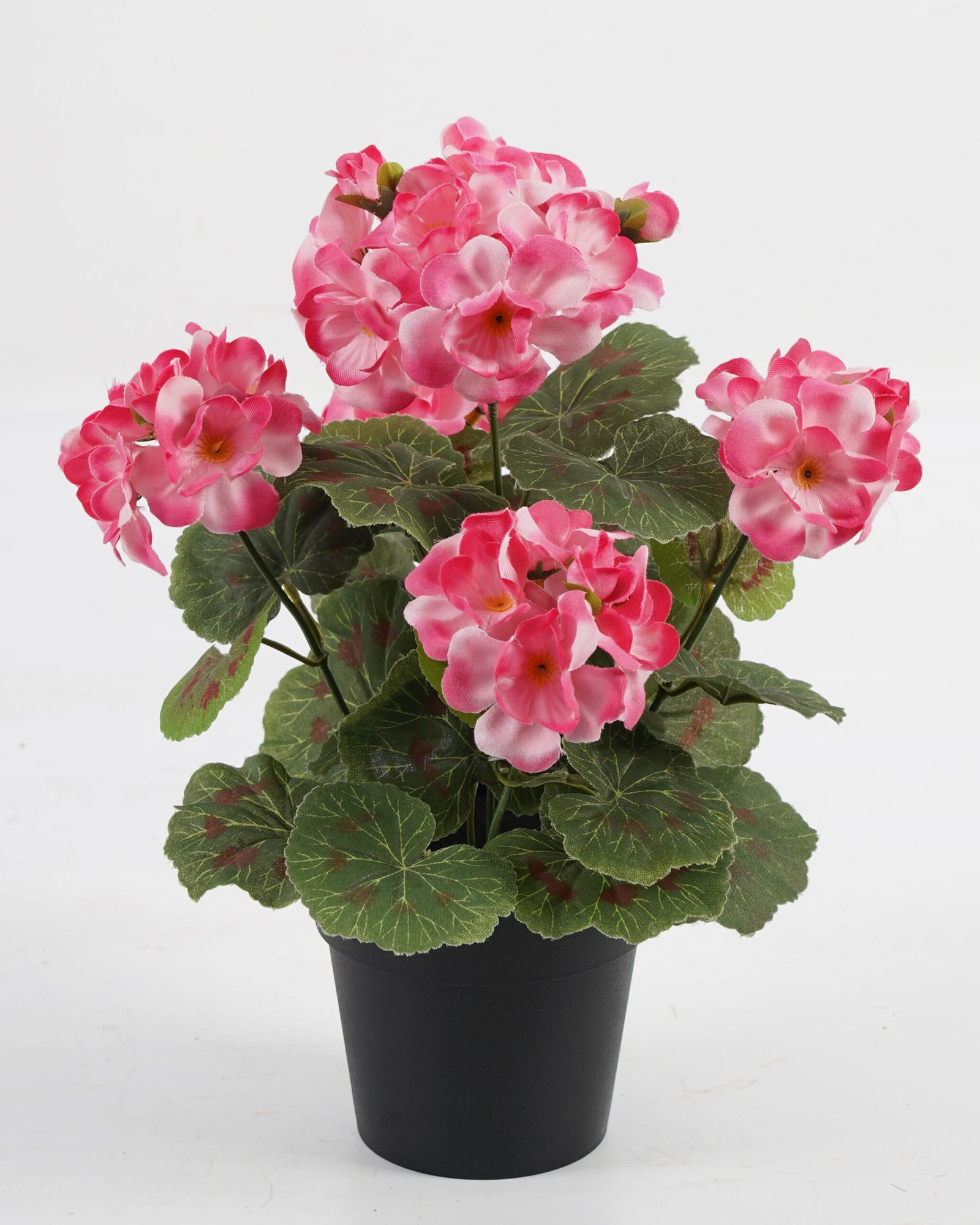 Artificial Flower 22*22*28cm Begonia in PP pot GS-03323011-P2 Potted Flowers&Plants YeahFlower is one of Chinese leading OEM manufacturers and exporters , supplying the silk flowers, wholesale artificial trees Artificial Flower 22*22*28cm Begonia in PP pot GS-03323011-P2 Potted Flowers&Plants YeahFlower is one of Chinese leading OEM manufacturers and exporters , supplying the silk flowers, wholesale artificial trees