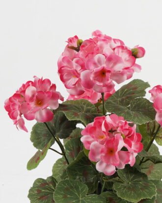 Artificial Flower 22*22*28cm Begonia in PP pot GS-03323011-P2 Potted Flowers&Plants YeahFlower is one of Chinese leading OEM manufacturers and exporters , supplying the silk flowers, wholesale artificial trees Artificial Flower 22*22*28cm Begonia in PP pot GS-03323011-P2 Potted Flowers&Plants YeahFlower is one of Chinese leading OEM manufacturers and exporters , supplying the silk flowers, wholesale artificial trees