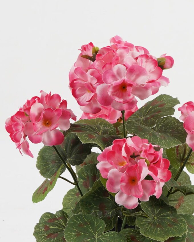 Artificial Flower Begonia in PP pot GS-03323011-P2_4 Artificial Flower 22*22*28cm Begonia in PP pot GS-03323011-P2 Potted Flowers&Plants YeahFlower is one of Chinese leading OEM manufacturers and exporters , supplying the silk flowers, wholesale artificial trees