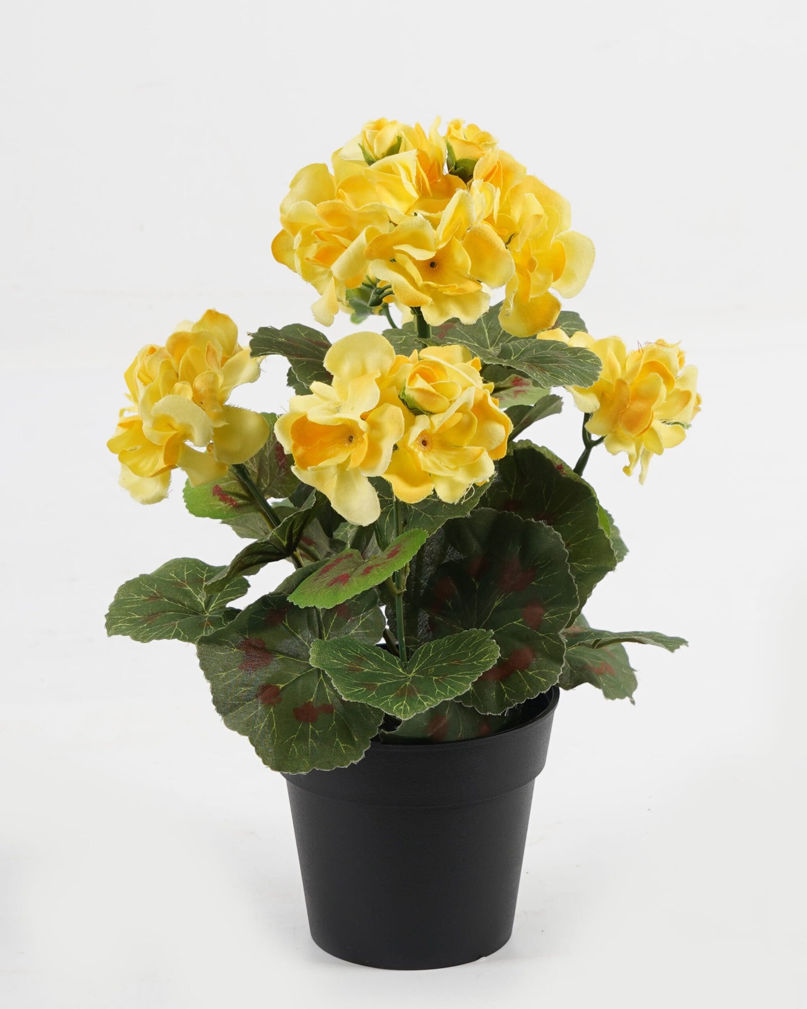Artificial Flower 22*22*28cm Begonia in PP pot GS-03323011-Y1 Potted Flowers&Plants YeahFlower is one of Chinese leading OEM manufacturers and exporters , supplying the silk flowers, wholesale artificial trees Artificial Flower 22*22*28cm Begonia in PP pot GS-03323011-Y1 Potted Flowers&Plants YeahFlower is one of Chinese leading OEM manufacturers and exporters , supplying the silk flowers, wholesale artificial trees