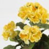 Artificial Flower 22*22*28cm Begonia in PP pot GS-03323011-Y1 Potted Flowers&Plants YeahFlower is one of Chinese leading OEM manufacturers and exporters , supplying the silk flowers, wholesale artificial trees