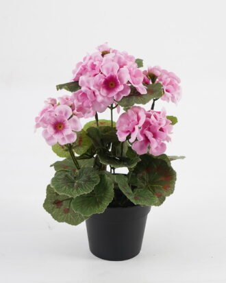 Artificial Flower 22*22*28cm Begonia in PP pot GS-03323011-Z1 Potted Flowers&Plants YeahFlower is one of Chinese leading OEM manufacturers and exporters , supplying the silk flowers, wholesale artificial trees Artificial Flower 22*22*28cm Begonia in PP pot GS-03323011-Z1 Potted Flowers&Plants YeahFlower is one of Chinese leading OEM manufacturers and exporters , supplying the silk flowers, wholesale artificial trees