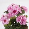 Artificial Flower Begonia in PP pot GS-03323011-Z1_3 Artificial Flower 22*22*28cm Begonia in PP pot GS-03323011-Z1 Potted Flowers&Plants YeahFlower is one of Chinese leading OEM manufacturers and exporters , supplying the silk flowers, wholesale artificial trees