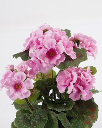 Artificial Flower 22*22*28cm Begonia in PP pot GS-03323011-Z1 Potted Flowers&Plants YeahFlower is one of Chinese leading OEM manufacturers and exporters , supplying the silk flowers, wholesale artificial trees Artificial Flower 22*22*28cm Begonia in PP pot GS-03323011-Z1 Potted Flowers&Plants YeahFlower is one of Chinese leading OEM manufacturers and exporters , supplying the silk flowers, wholesale artificial trees